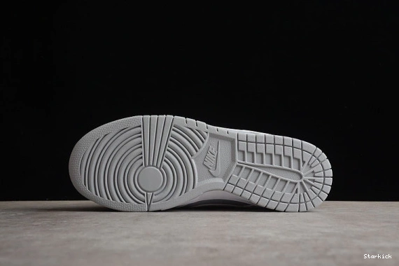 DJ6188-003 Grey White Nike Dunk Low Retro 0722